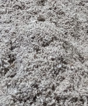 Screenshot_20211210-224946_Gallery