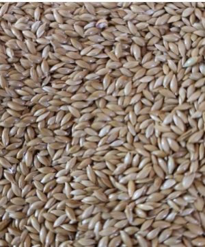 tempFileForShare_20230206-203243